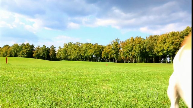 ZORRA TOTAL (novo formato) 23-05-2015 parte 1/3 completo