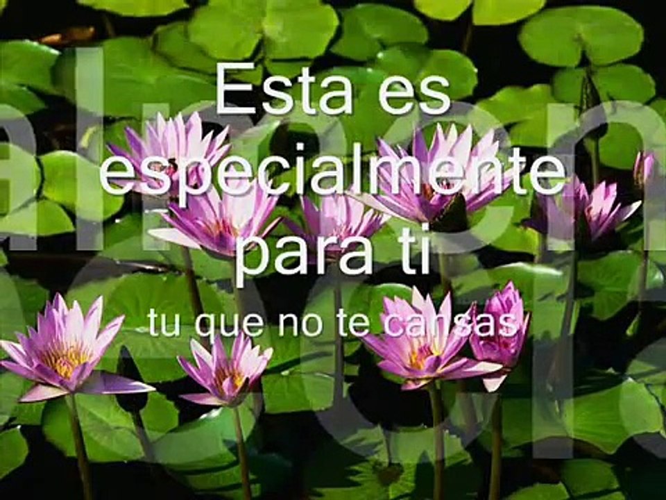 Yo te Busco