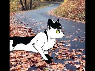 Warrior cats - Fire and Ice ~ prologue *OLD*