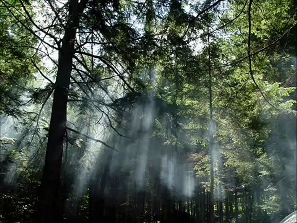 Guinevere ( Rick Wakeman )