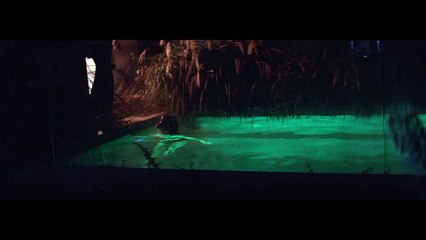 Troye Sivan - Happy Little Pill_ Full HD Song by Non Stop Masti