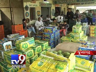Mangoes date with chemical - Tv9 Gujarati