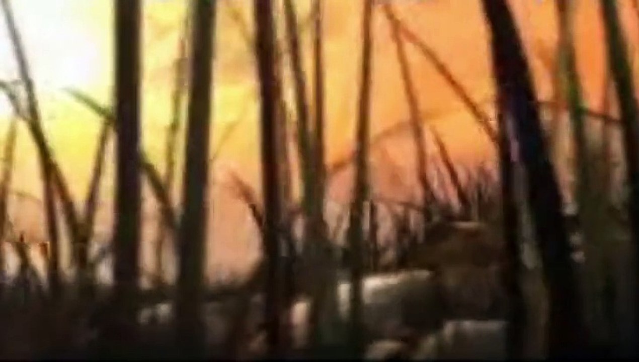 Arthas destiny - Loreena McKennitt.