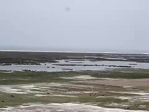 Pantanos/Humedales de Ite