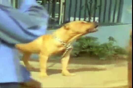 New EAZY E Ft. 2Pac, BIGGIE, The Game & ICE CUBE - Gangster Beat 4 The Street.. Dj Jeet 408