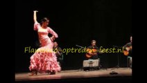 Flamenco-optreden-feest.nl