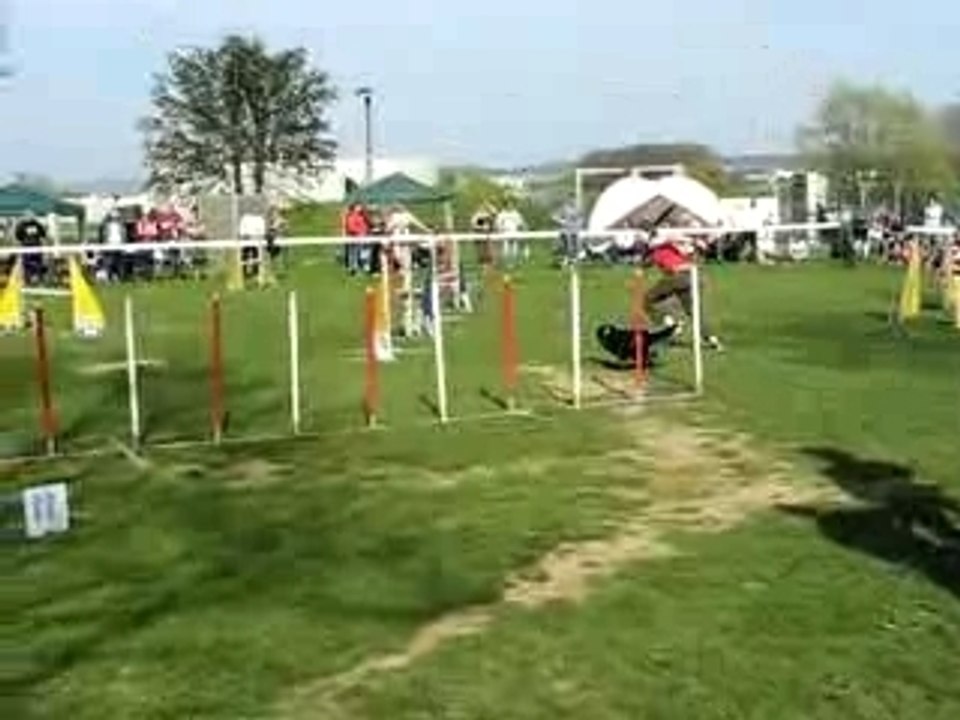 Agility cécile230406-6