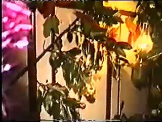 cutty sark video three