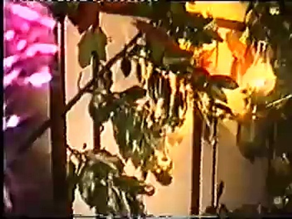 cutty sark video three