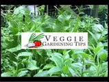Raised Bed Vegetable Garden Prep