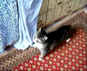 Cleo and Lilu 03