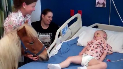 Un poney pas comme les autres