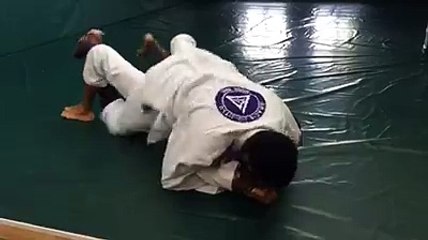 Roy Hibbert se met au jiu-jitsu