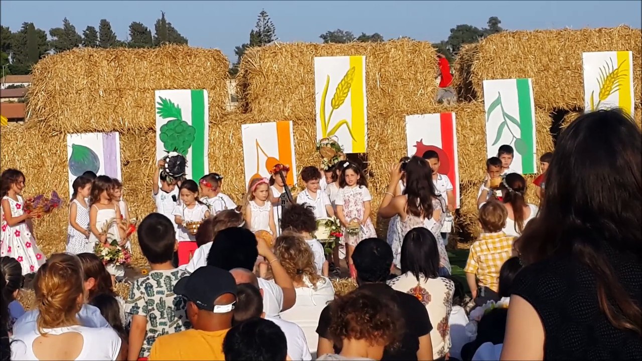 שבועות 2015 במגידו