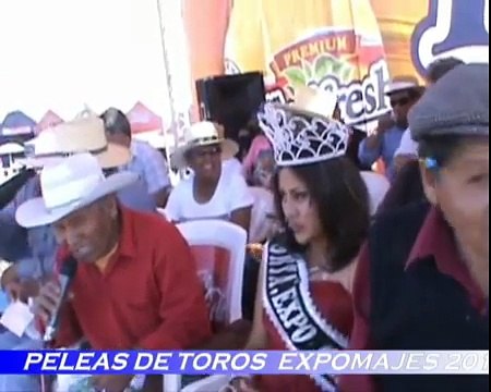 Peleas de Toros en EXPO MAJES 2010 en El Pedregal Arequipa