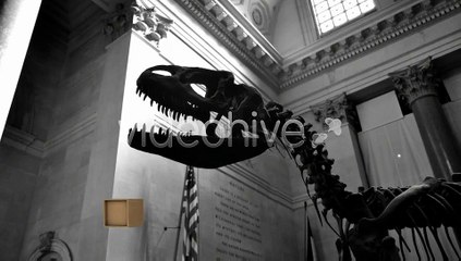 After Effects Project Files - Material Box Lower Third Pack - VideoHive 3048313