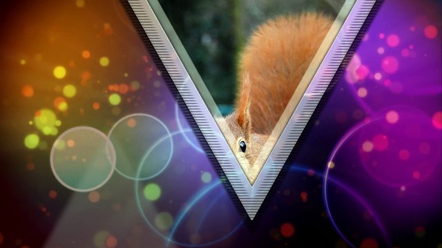 Стили и переходы ProShow Producer - Diamonds