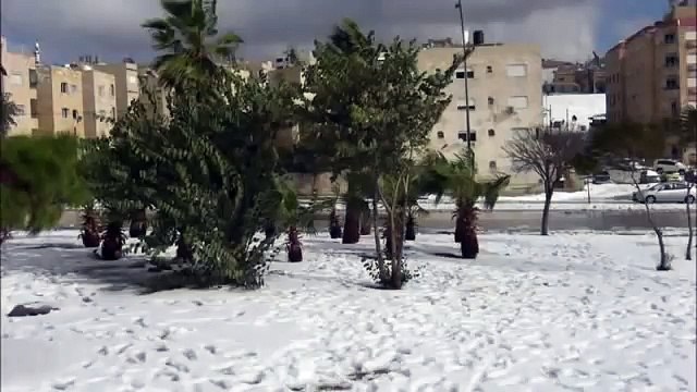 بالفيديو : في حالة فريدة.. التزلج على ثلوج غطت العاصمة الأردنية