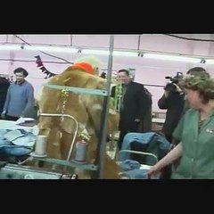 Программа Розыгрыш. Борис Моисеев