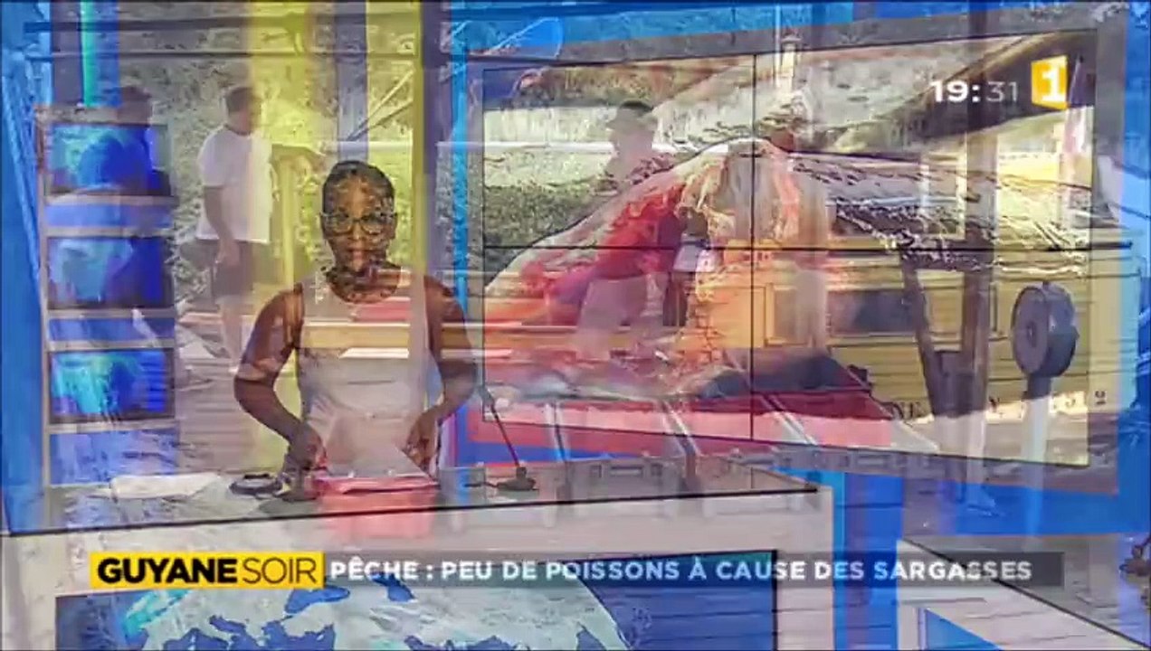 Les Sargasses gênent la pêche