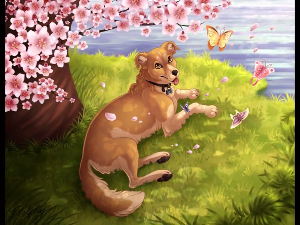 ◘Anime Wolves◘♥ Always ♥ *Dedicated*