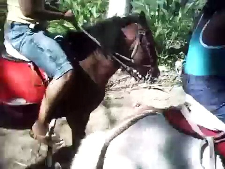 Pony Riding Girls