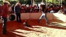 pelea de gallos en tepetitlan hidalgo 1