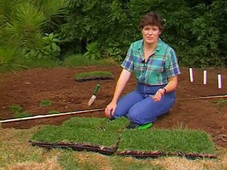 Planting Zoysia Grass