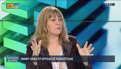 Smarts grids et efficacité énergétique: Arnaud Gossement, Géraldine Trapp, Eric Berthaud et Raphaël Berger (2/5) – 24/05