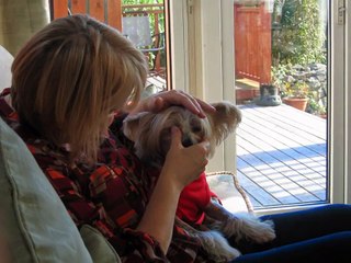 Jade Chinese Crested rescued from http://www.ncar.org.uk/