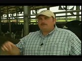 Milking Process: The Five Steps of Milking a Cow