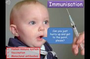 B3 Immune system, Vaccination & Monoclonal antibodies