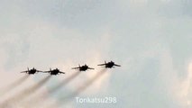 Russian Air Force MiG-31 Foxhound  ВВС России МиГ-31