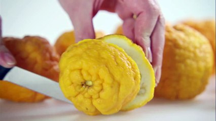 Delia Online Cookery School - How To Make Marmalade | Waitrose