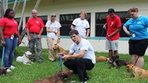 Zen-K9 Trains  volunteers how to socialize shelter dogs