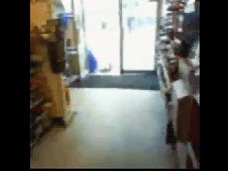 Shoplifting Seagull