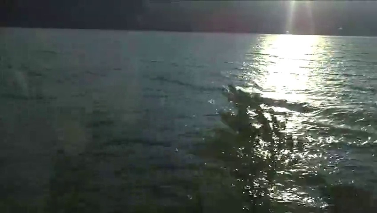 Stage cinéma à Talloires  août 15/ 10 -14 ans