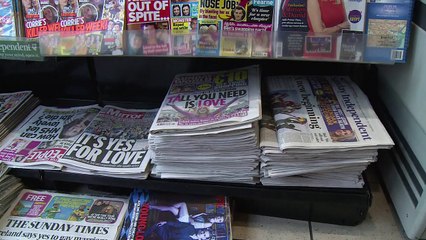 Ireland 'changed utterly' by gay marriage vote: press