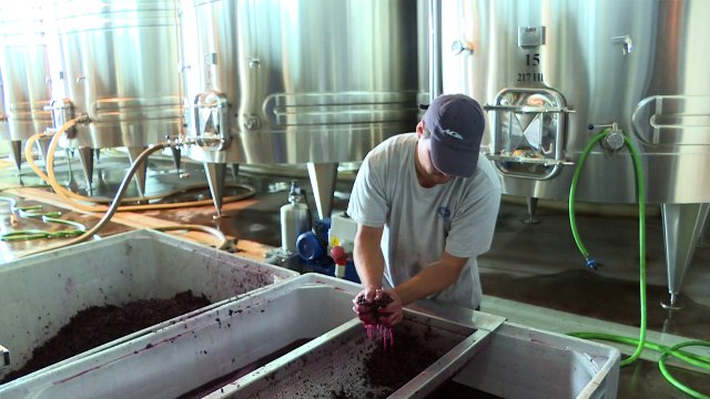 Argentine: du vin haut de gamme pour sauver les exportations