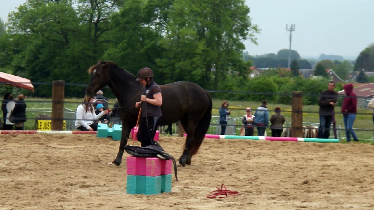 1ere demonstration d'ethologie pour Ulricka Sponté