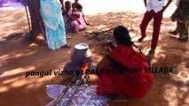 Pongal vizha 2015 with free goat beneficeries