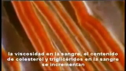 Como Actua Ganoderma en el cuerpo