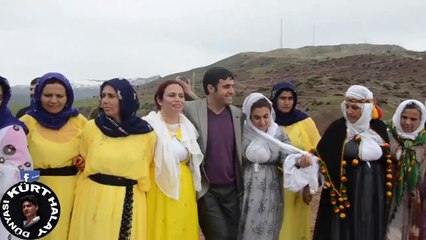 ŞIRNAK TA BÖYLE Sİ Bİ COŞKU MUHTEŞŞEM OYNUYHORLAR CİDDA HALAYI