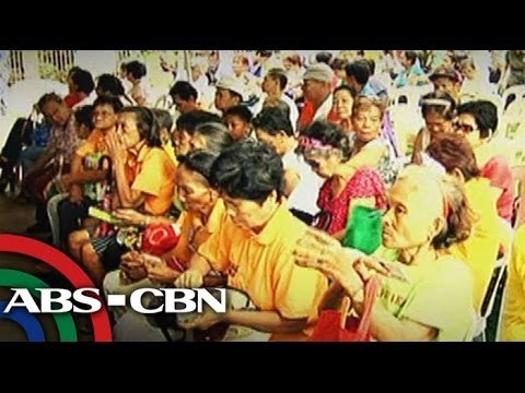 Senior citizens as traffic aides