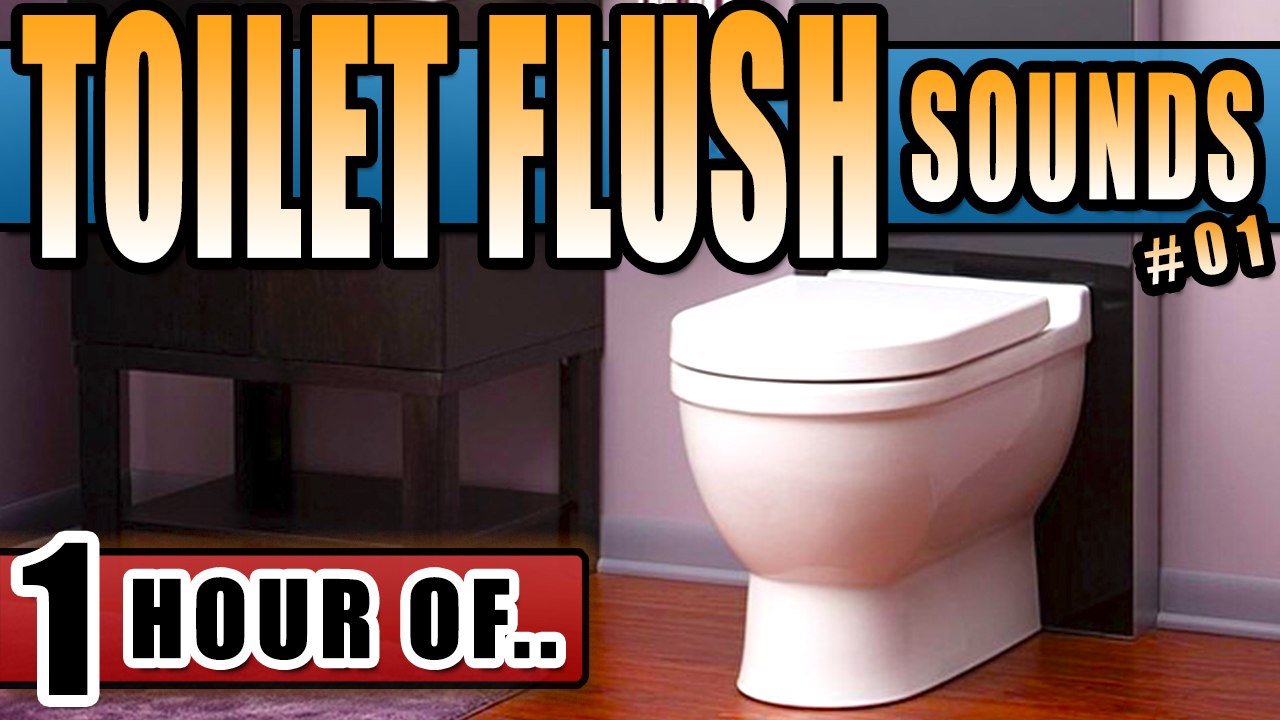 TOILET FLUSH SOUND for Sleeping and relaxation. Sleep Sounds and White Noise  for 1 hour - video Dailymotion