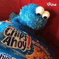 All of Me Cookie Monster Version by SIKORA?syndication=228326