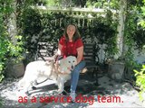 Service Dog for Mobility & Medical Alert Shows Balance, Alert Skills & More.wmv