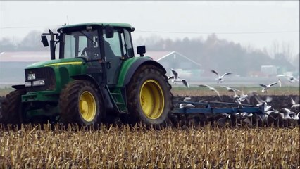 Bauer pflügt in einer Wolke von Möwen Farmer ploughing in a cloud of seagulls SX50 HS