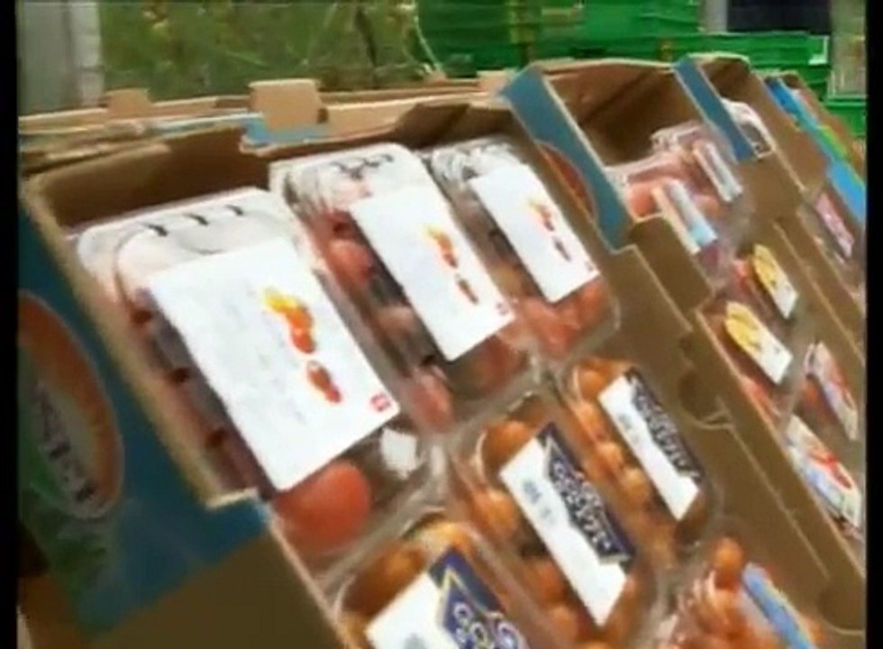 Presidente Peña Nieto visita el Centro de Producción Santa Rita, San Luis Potosí