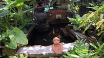 Koh Chang Paradise Resort & Spa